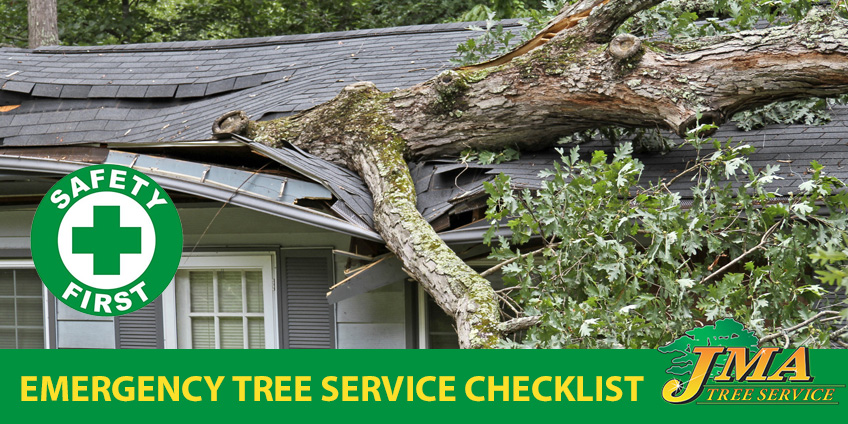 Emergency Tree Service Checklist
