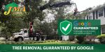 Image showing JMA Tree Service is Google Guaranteed