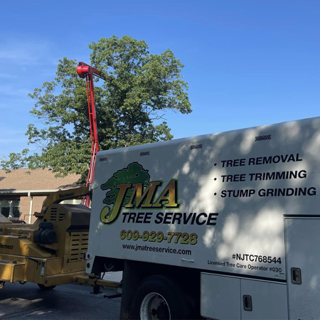 JMA Tree Service showing spider lift