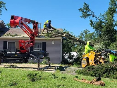Tree removals using JMA specialized equipment