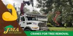 Image showing JMA Tree Removal Crane