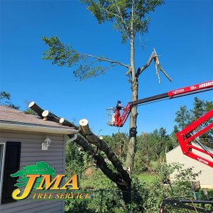 JMA Emergency Tree Service
