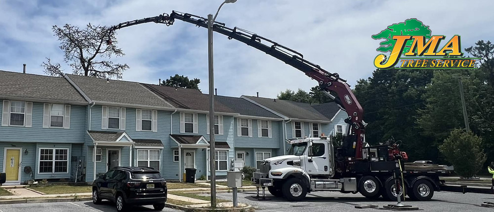 Picture of a JMA Tree Service crane in action