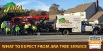 JMA Tree Removal Services