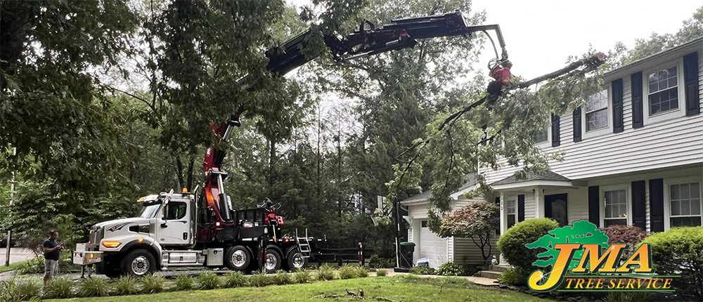 Picture showing treee removal with a JMA Crane