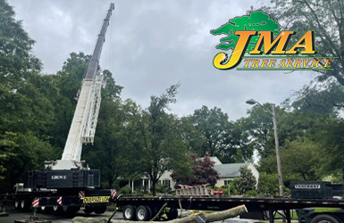 JMA Tree Service using a crane to remove cut trees