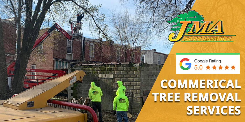 Image showing commercial tree removals in an apartment complex by JMA Tree Service