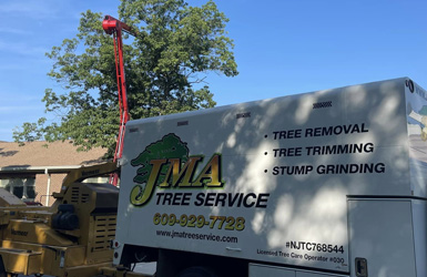 JMA Tree Service Trimming trees with a spider lift