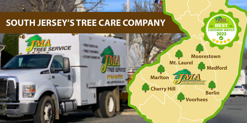 JMA Tree Service in South Jersey is #1