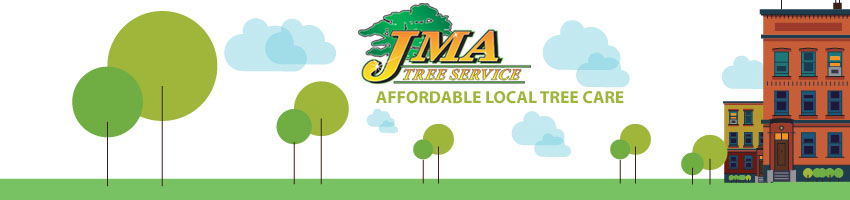 Tree Service in Marlton New Jersey by JMA Tree Service