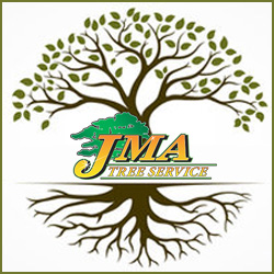 Graphic showing JMA logo with roots