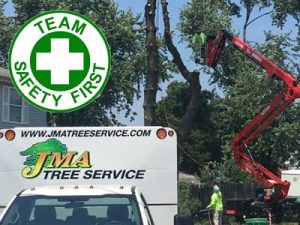 JMA tree team showing safety first logo
