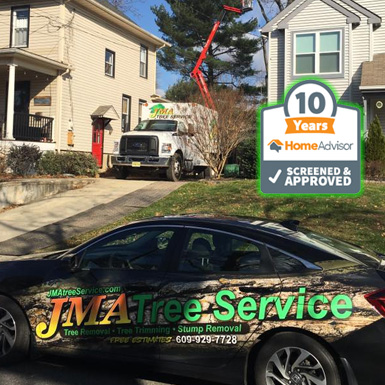 Hose with JMA Tree Service Professionals trimming trees