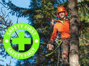 JMA Tree Service Safety