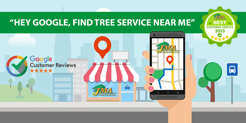 Graphic showing user googling tree service near me on phone