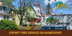 Tree Service in Hainesport New Jersey