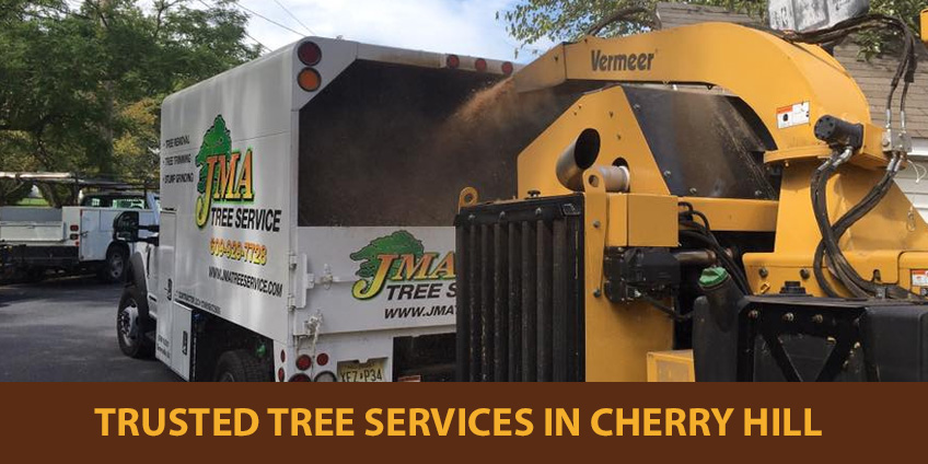JMA Tree service chipping tree debris in Cherry Hill