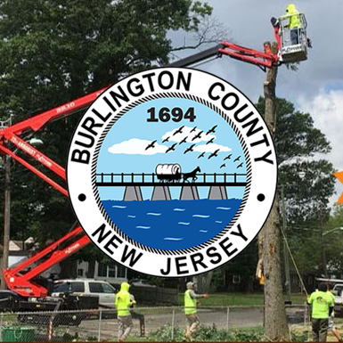 Bulington County NJ logo over image of JMA Tree Service workers removing trees