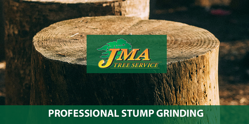 Professional Stump Grinding
