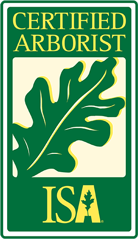 JMA certified arborist badge