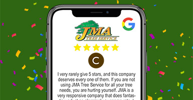 Graphic showing 5 star google reviews for JMA Tree Service