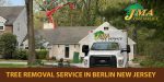 tree removal service in berlin new jersey