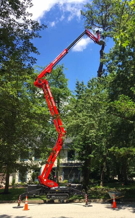 tree removal service in haddonfield challenges